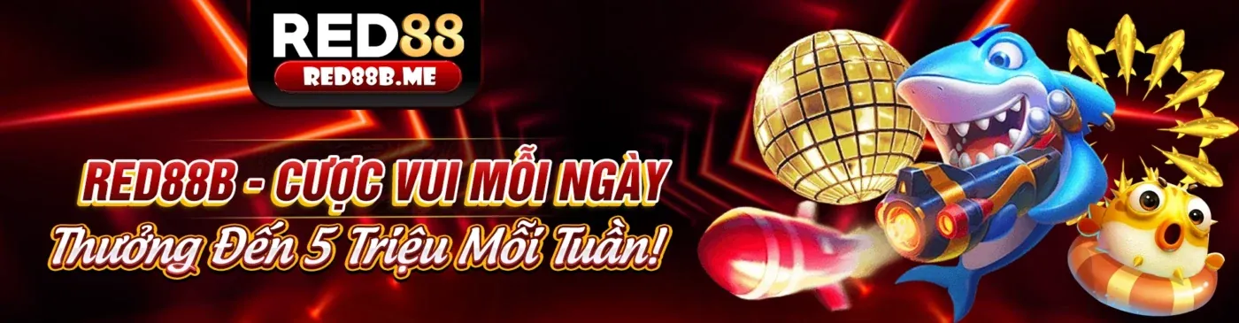 Ưu đãi đặc biệt cho thành viên VIP đá gà kt88